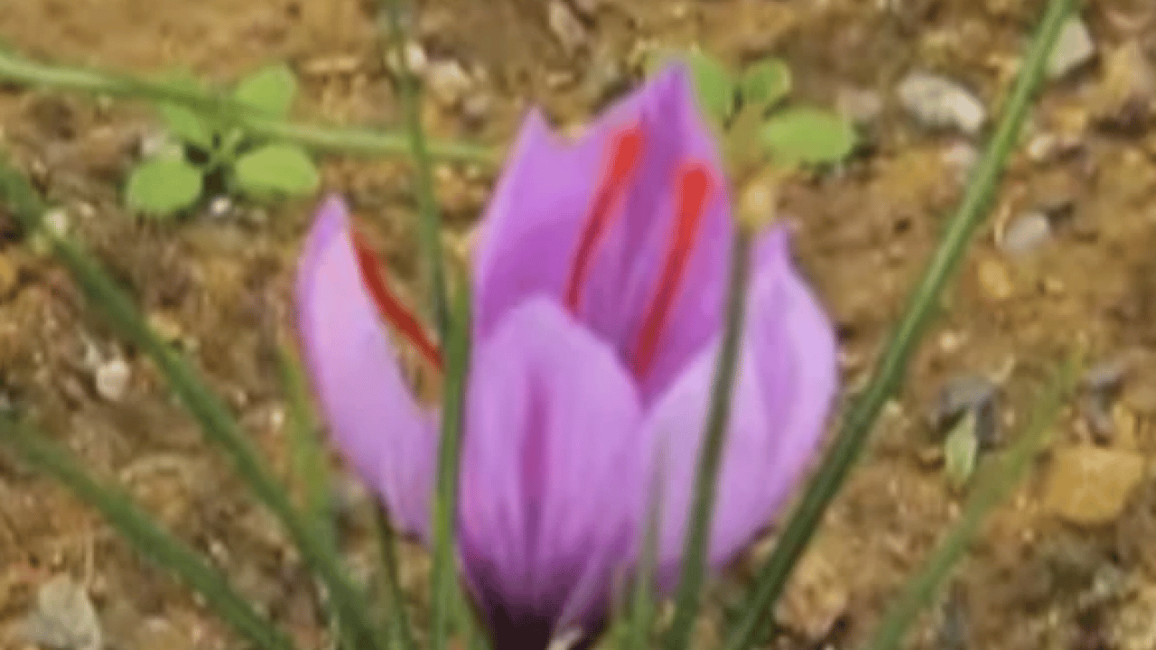 Foto - Askerler başında nöbet tutuyor! 3 kilo parasına ev alınıyor