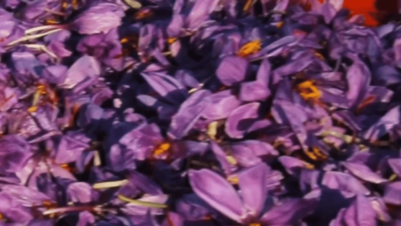 Foto - Askerler başında nöbet tutuyor! 3 kilo parasına ev alınıyor