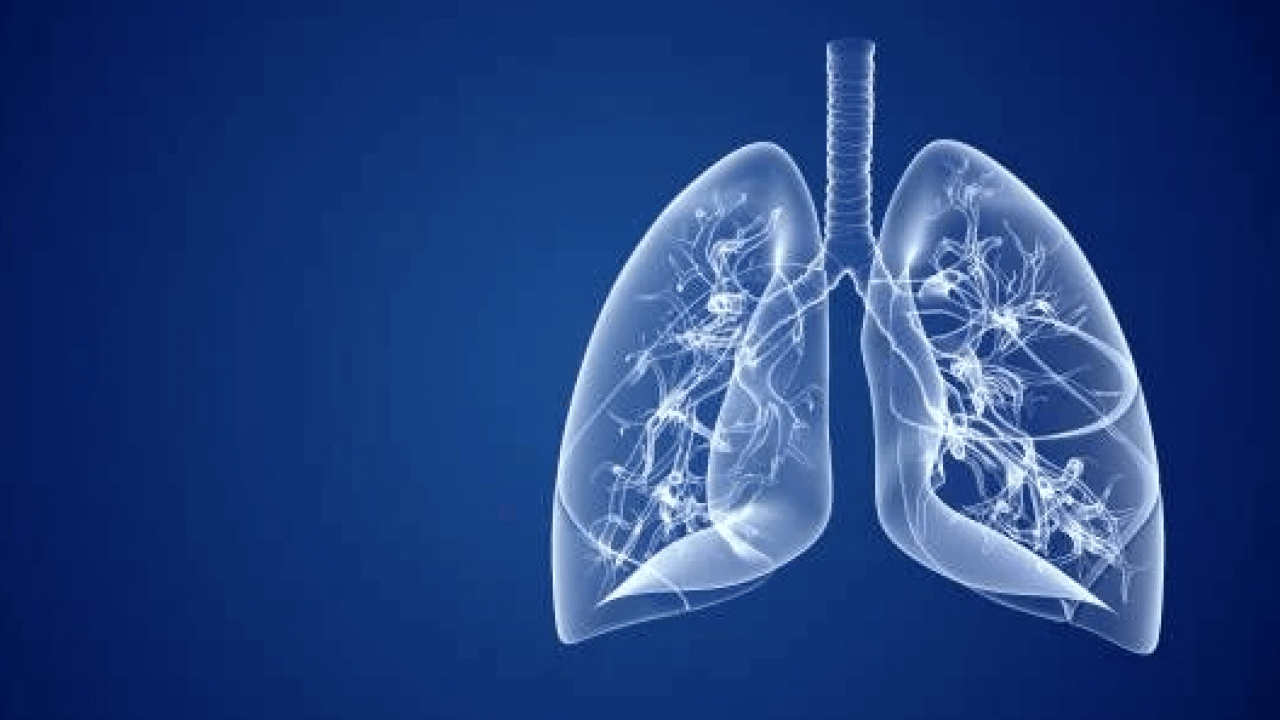 Foto - Astım olduğunuzu nasıl anlarsınız? İşte vücudunuzun verdiği işaretler