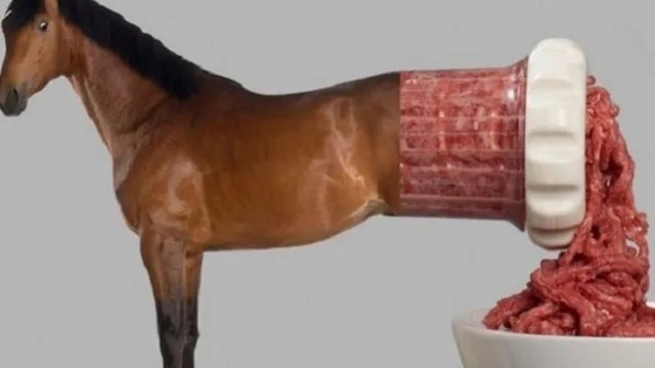 Foto - At eti skandalının arkasından Türkiye'nin ünlü cemaati çıktı! Saklamaya çalışıldı ama yapamadılar