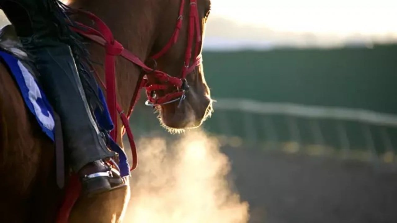 Foto - At eti skandalının arkasından Türkiye'nin ünlü cemaati çıktı! Saklamaya çalışıldı ama yapamadılar
