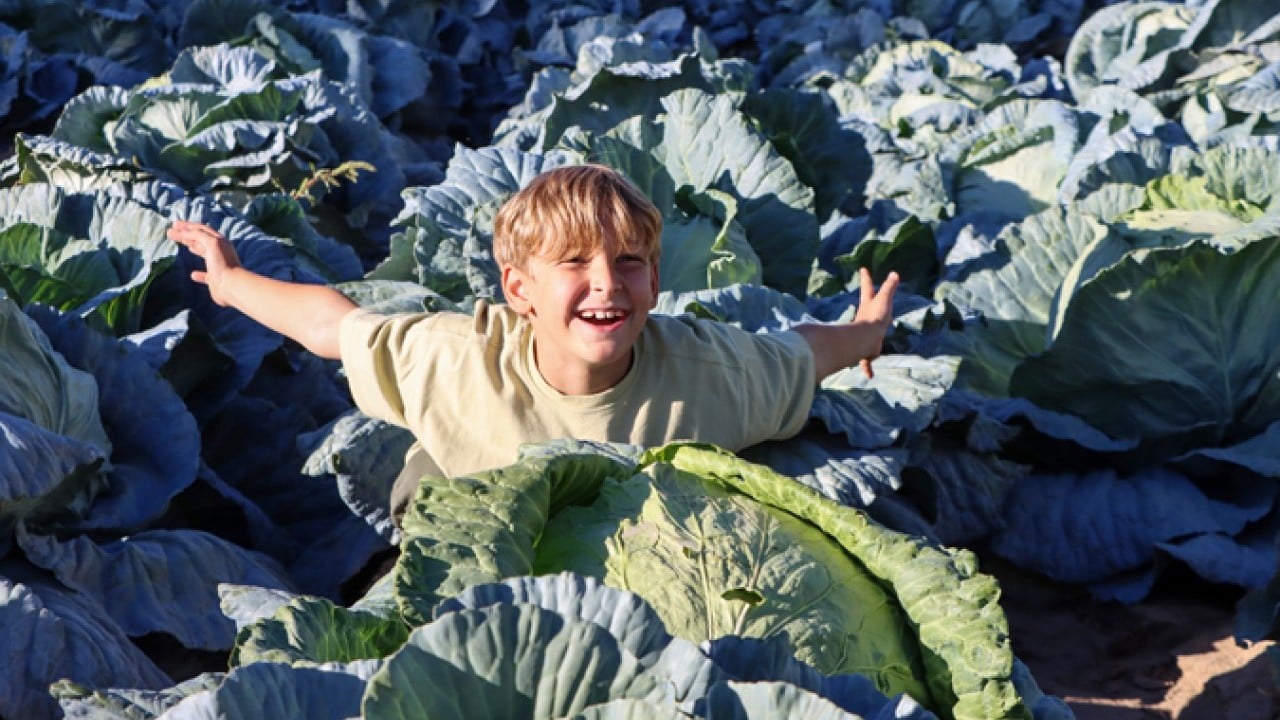 Foto - Ata tohumuyla yetiştirildi! 