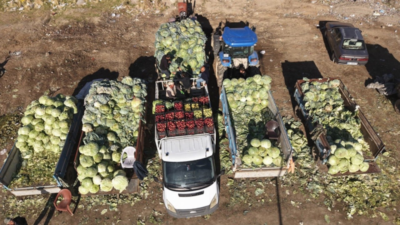 Foto - Ata tohumuyla yetiştirildi! 