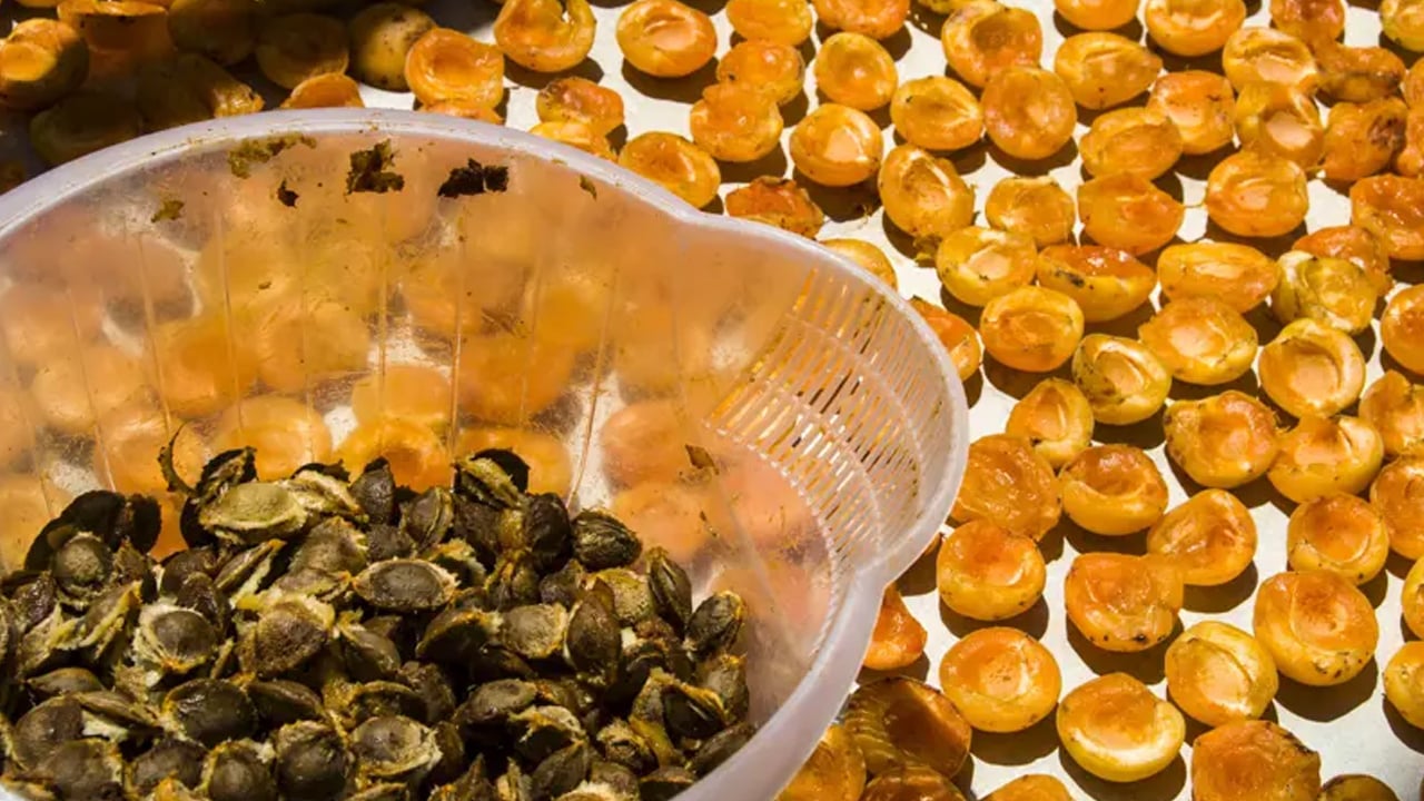 Foto - Ateş düşürücü etkisi var: İlaç gibi etkiye sahip, iyi geliyor bunu yapın! Kilosu 4 bin lira 