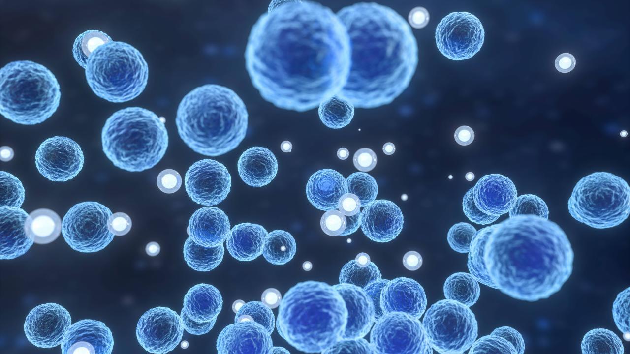 Foto - Ateşe bile dayanıklı! Yeni pandemi alarmı!