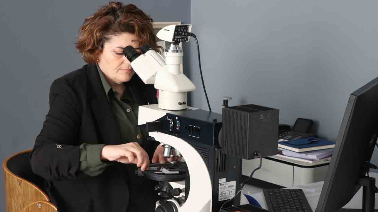 Foto - Atıktan yüksek teknolojiye: Yozgat’ta grafen ve aktif karbon hamlesi