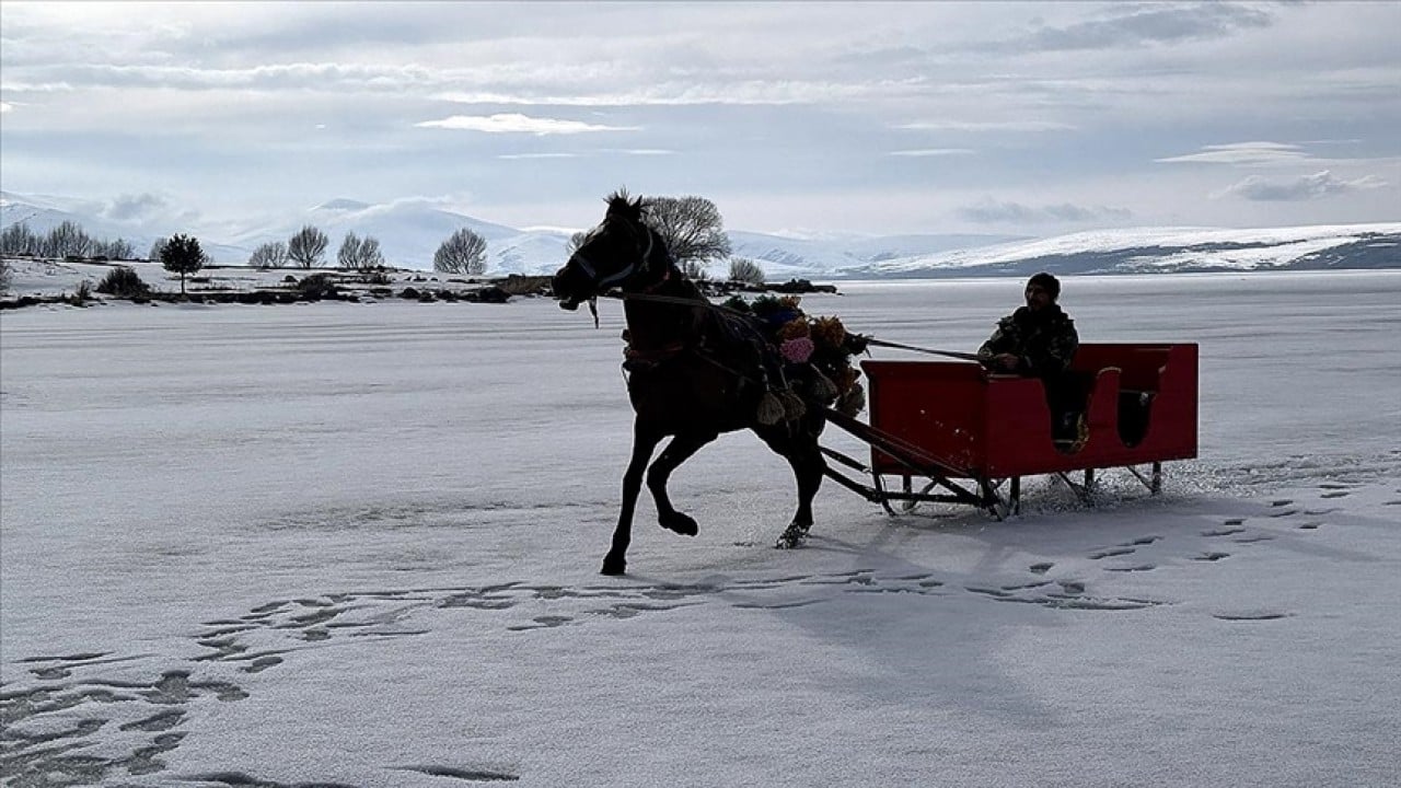 Çıldır Gölü ile özdeşleşmişti! Atlı kızak sezonu tamamlandı