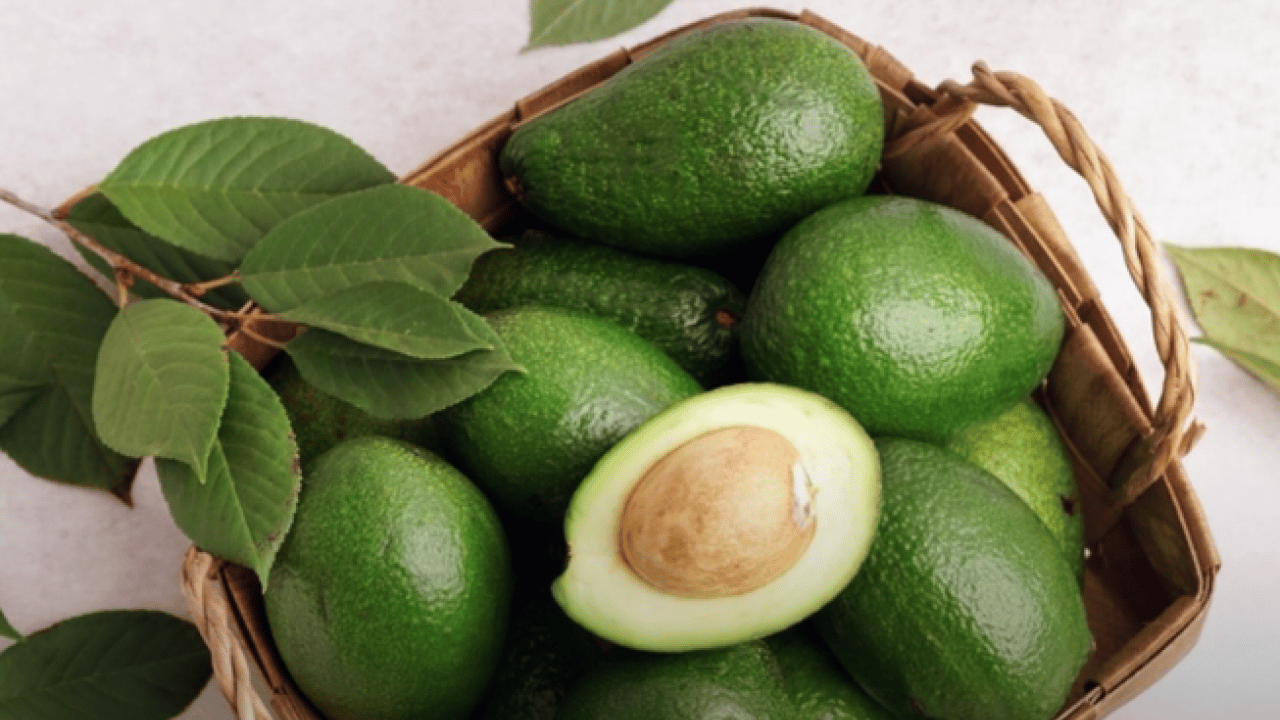 Foto - Avokado yaprağını kaynatıp içen yaşadı! Sonuçları şaşkınlık verici düzeyde...