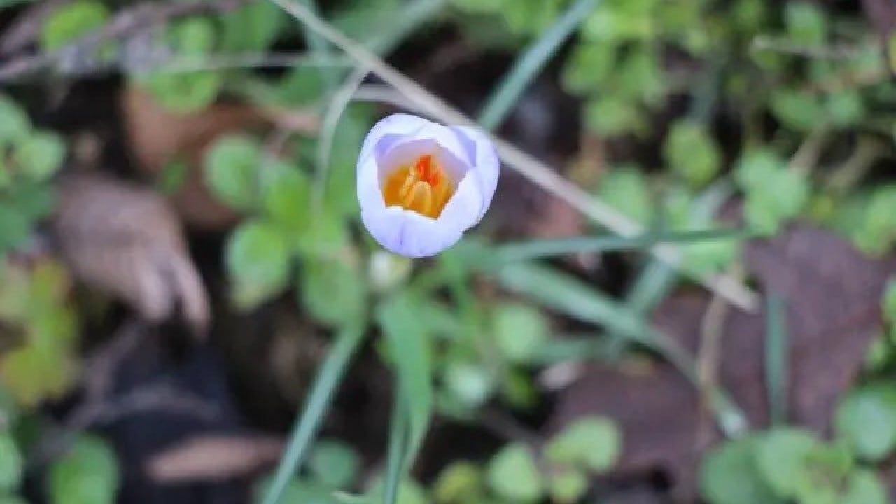 Foto - Avrupa alarm verdi! Milli servetimize göz diktiler, kaçırmak istiyorlar