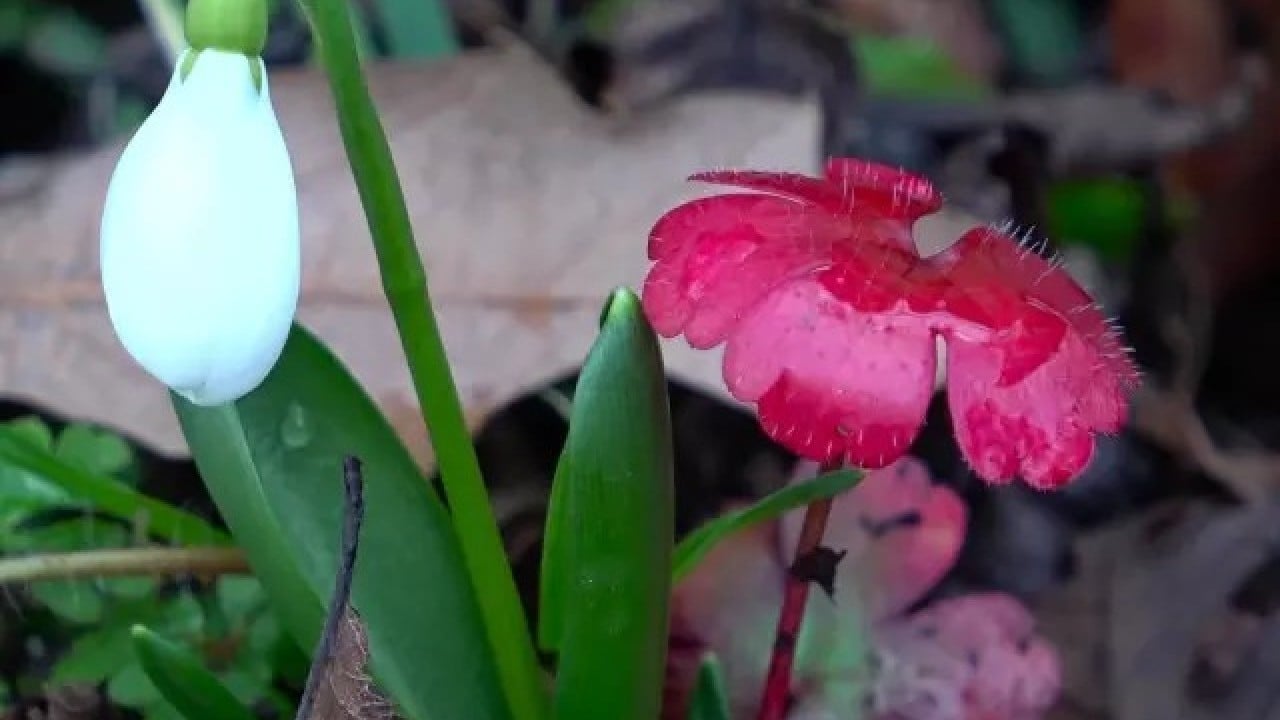 Foto - Avrupa alarm verdi! Milli servetimize göz diktiler, kaçırmak istiyorlar