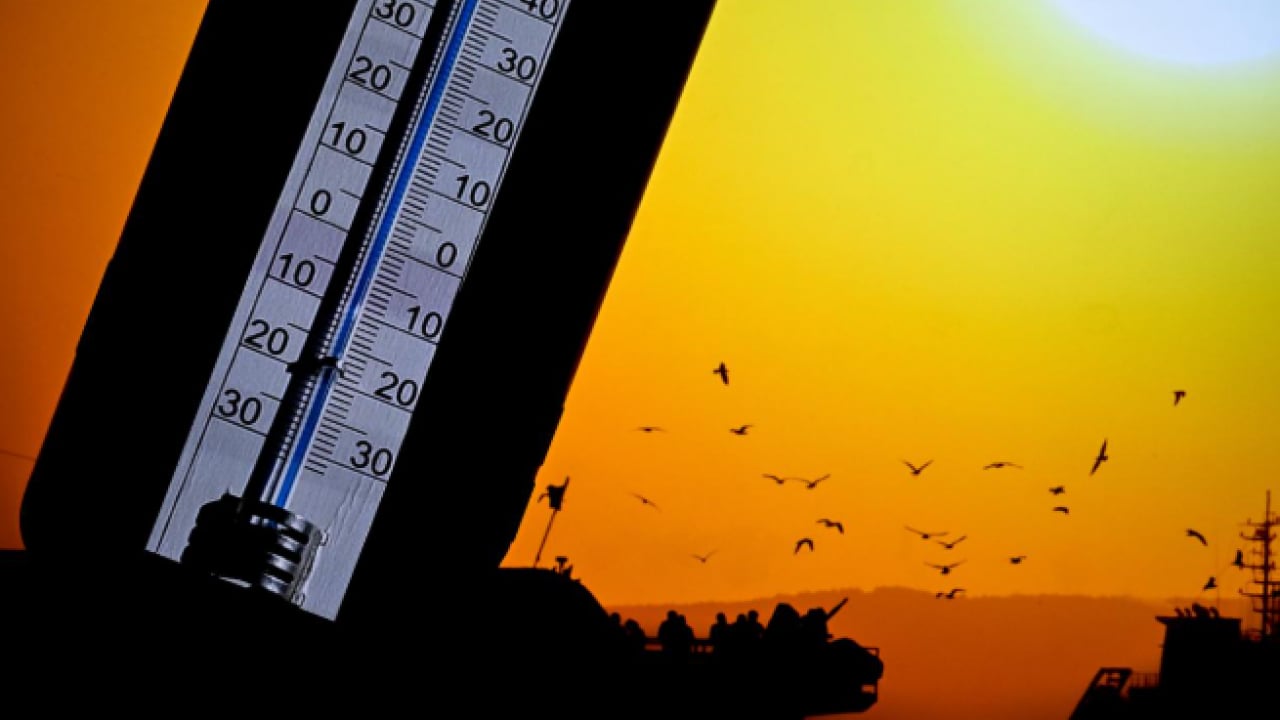 Foto - Avrupa kavruluyor, Almanya alarmda: Sıcaklıklar 42 dereceyi buldu