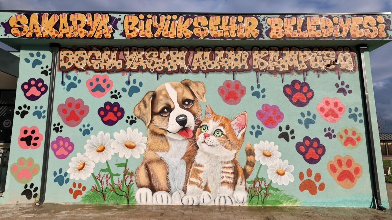 Foto - Avrupa standartlarında tesis: Sakarya Büyükşehir, sokak hayvanları için yeni bir dünya kurdu