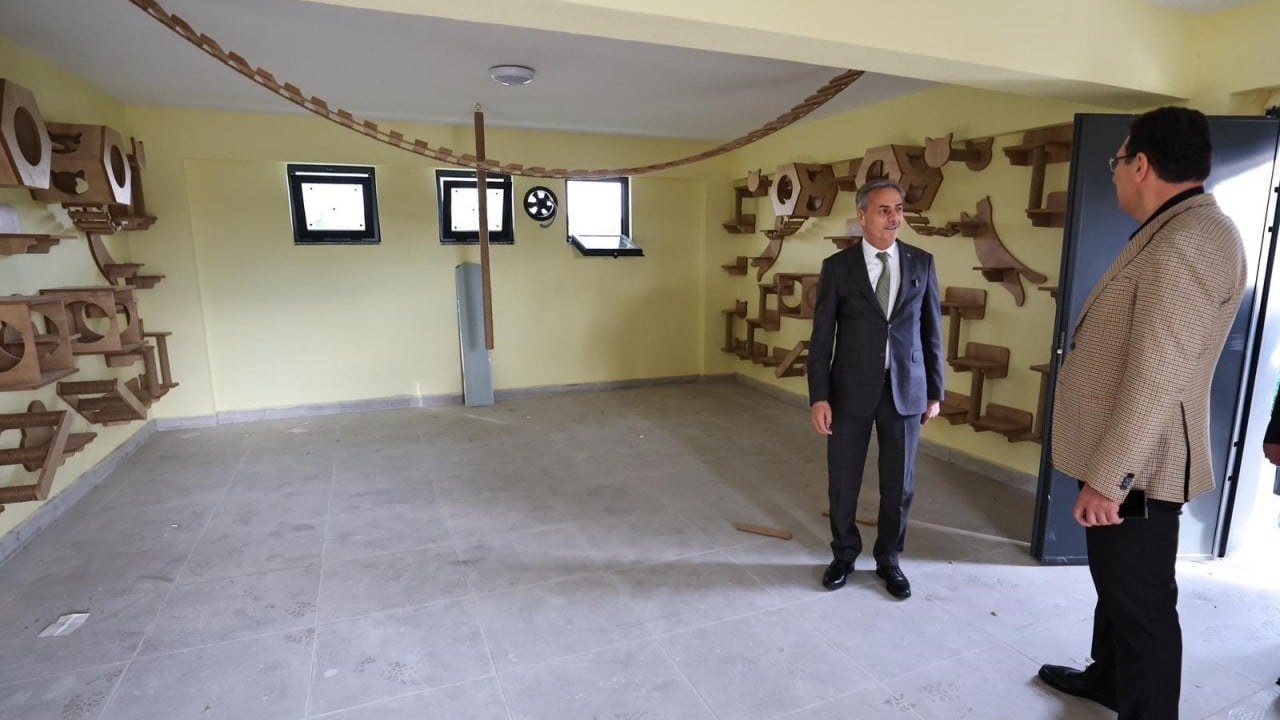Foto - Avrupa standartlarında tesis: Sakarya Büyükşehir, sokak hayvanları için yeni bir dünya kurdu