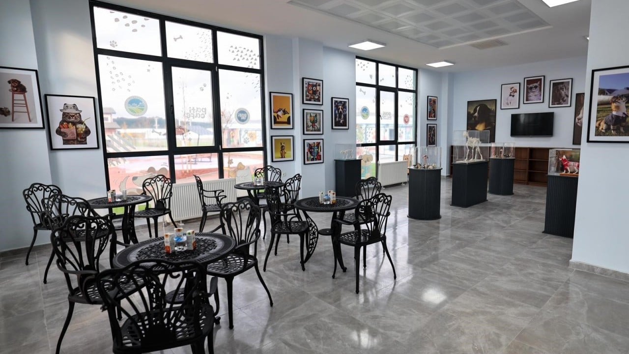 Foto - Avrupa standartlarında tesis: Sakarya Büyükşehir, sokak hayvanları için yeni bir dünya kurdu