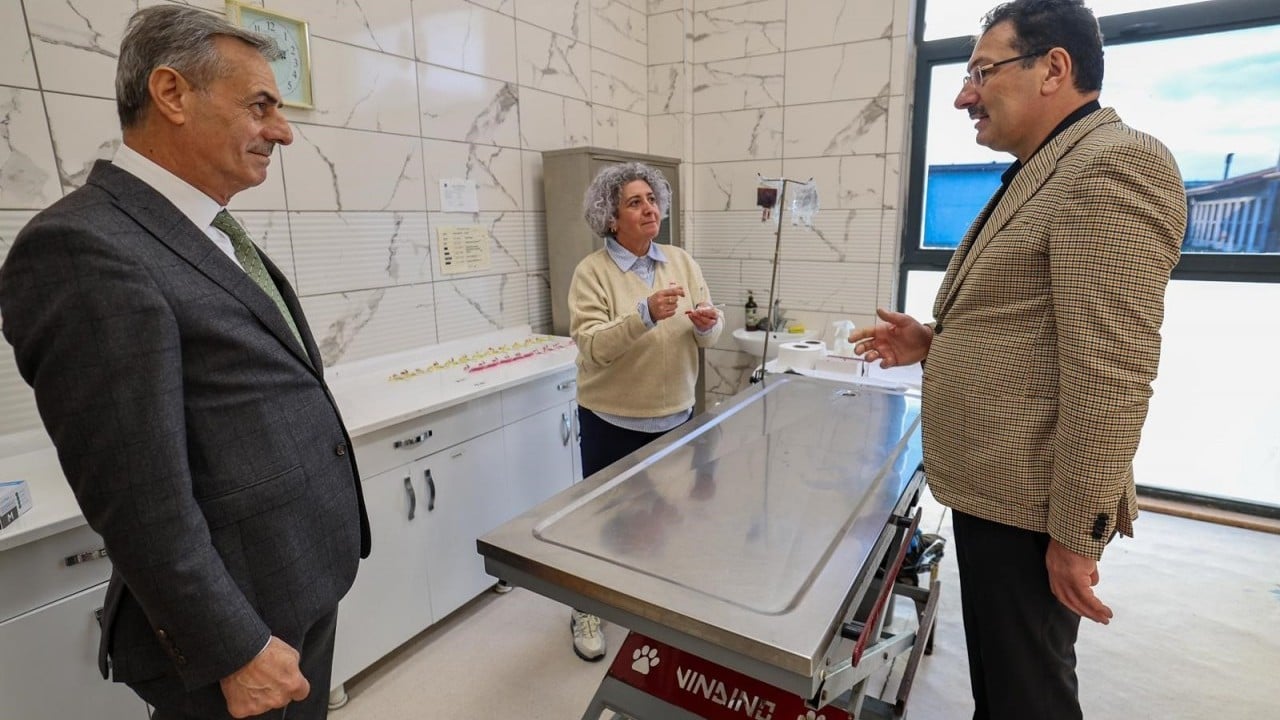 Foto - Avrupa standartlarında tesis: Sakarya Büyükşehir, sokak hayvanları için yeni bir dünya kurdu