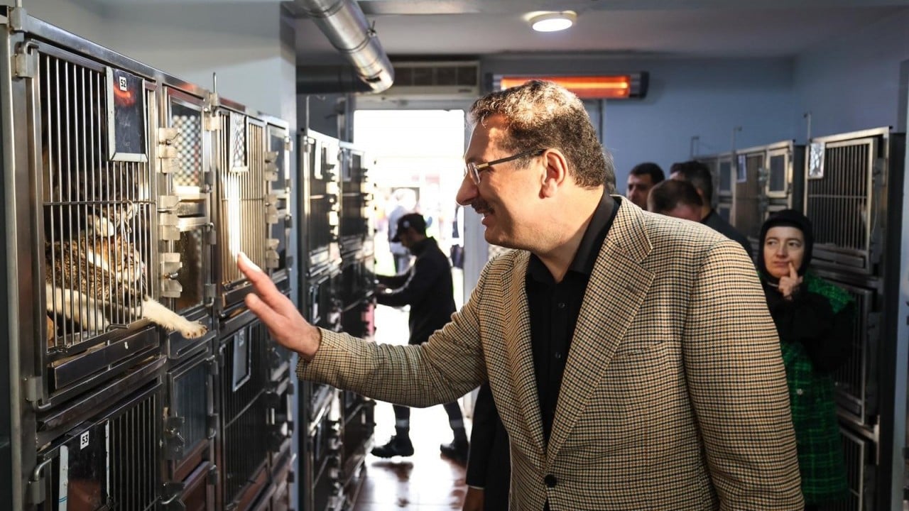 Foto - Avrupa standartlarında tesis: Sakarya Büyükşehir, sokak hayvanları için yeni bir dünya kurdu