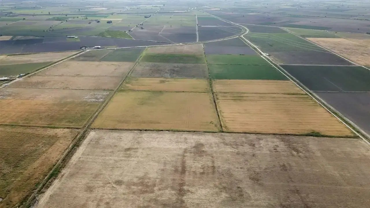 Foto - Avrupa ülkeleri yanacak: Çin'i bırakıp İzmir'den alacaklar