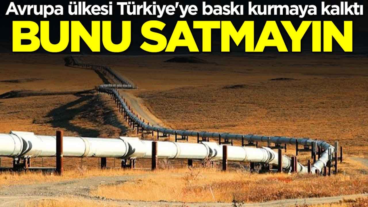 Avrupa ülkesi Türkiye'ye baskı kurmaya kalktı: Bunu satmayın
