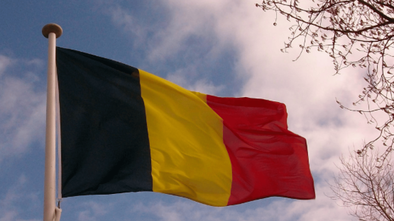 Foto - Belçika'da ilginç uyarı: Kral sizi ararsa açmayın!