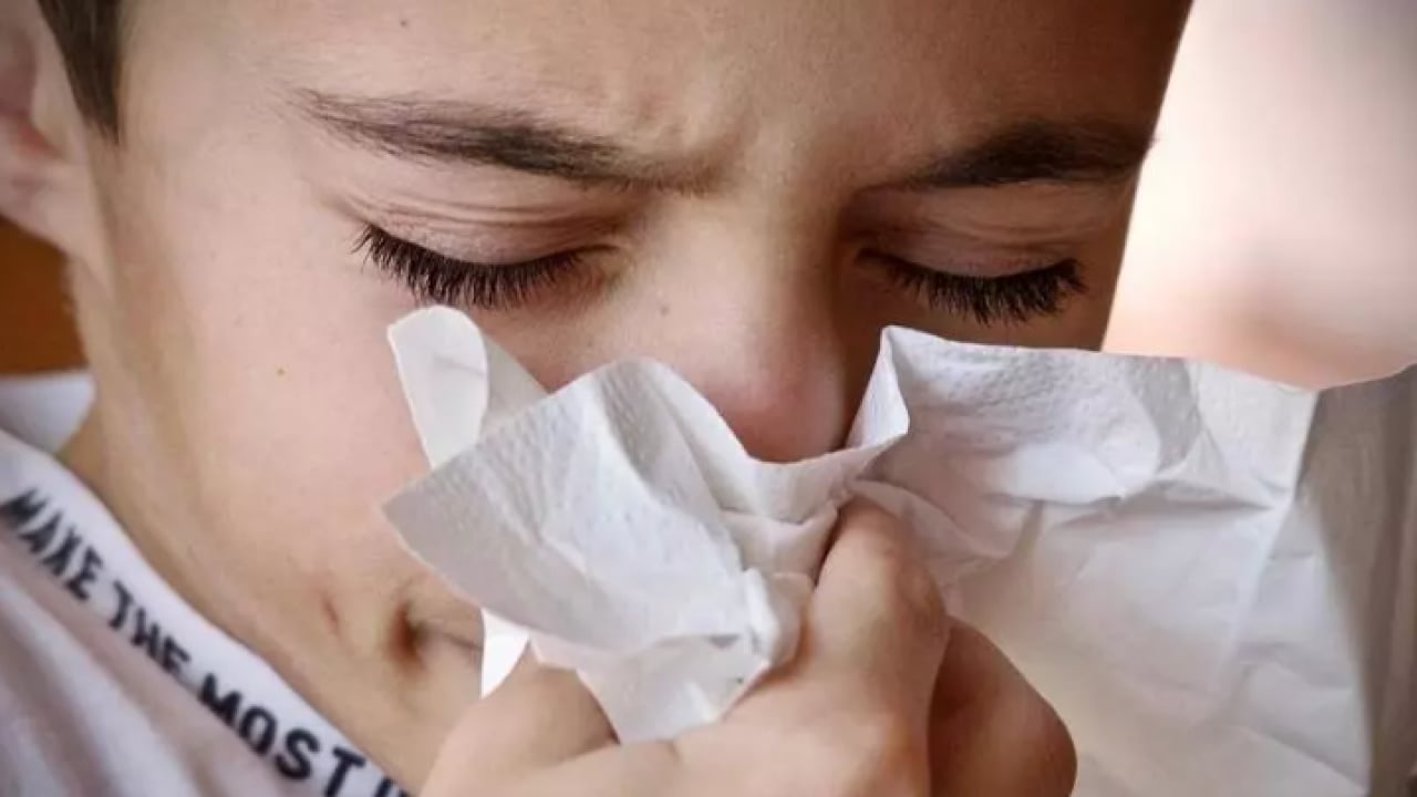Foto - Avrupa'dan sonra Türkiye'de görüldü: 10 gün geçmezse doktora başvurun!