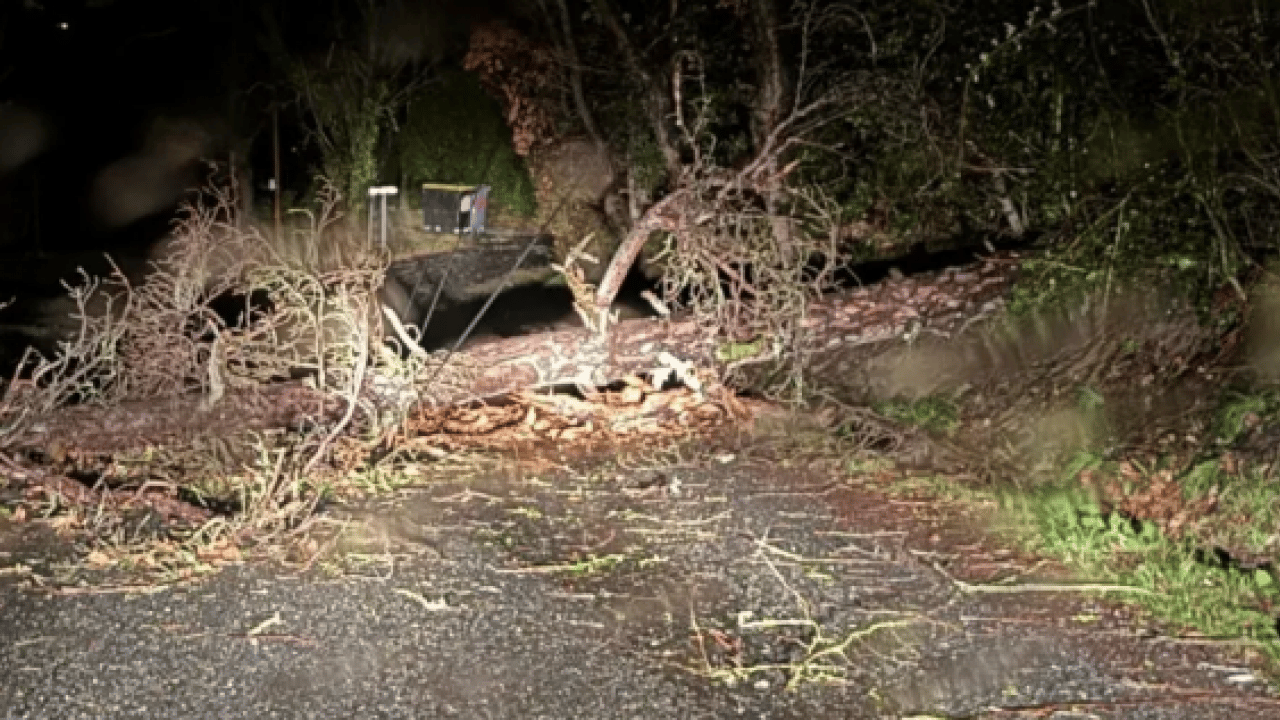 Foto - Avrupa’nın göbeğinde karanlık çağı! Fransa ‘Nils’ fırtınasına teslim: 850 bin hane elektriksiz kaldı