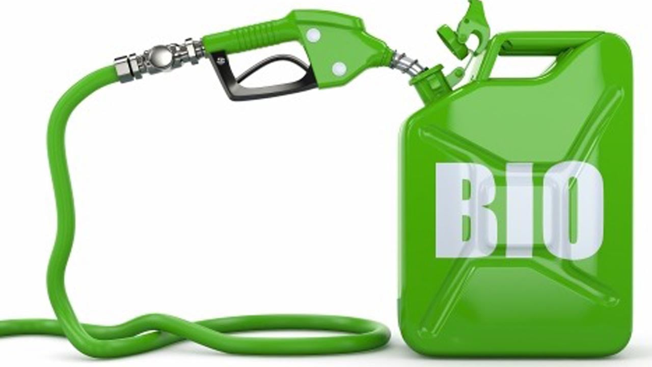 Foto - Avrupa’nın yeşil stratejisi: Ağır taşımacılıkta biyoyakıt çağı