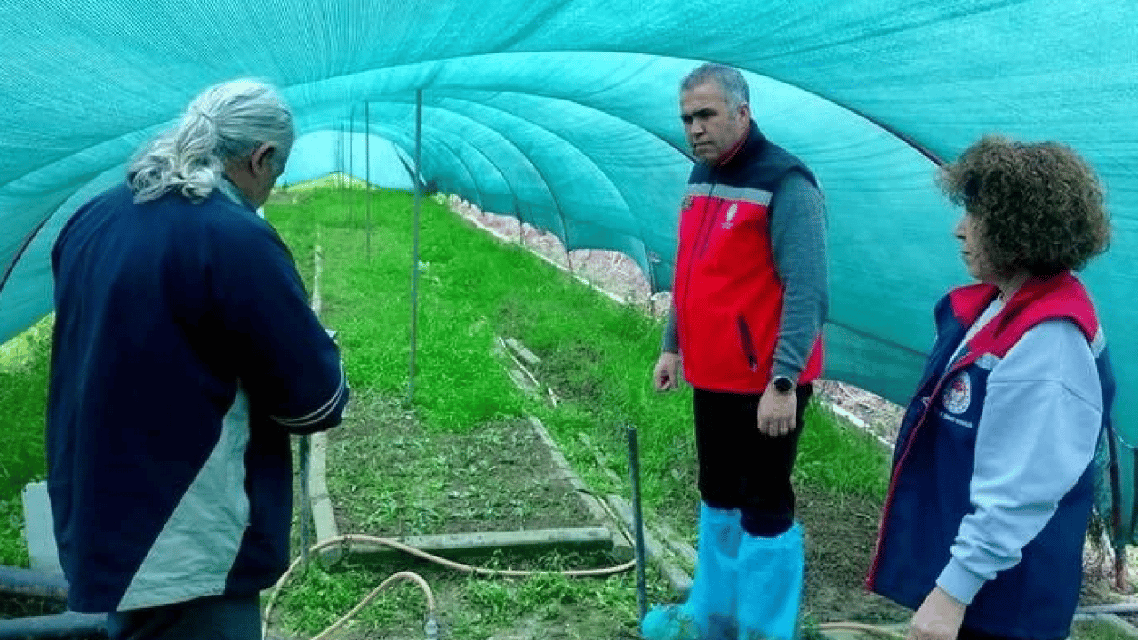Foto - Aydın’da örnek girişim! İlçe üretim üssü haline geldi