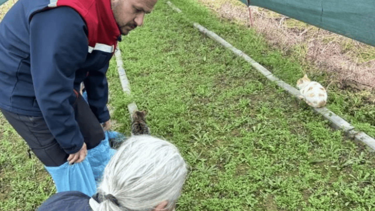 Foto - Aydın’da örnek girişim! İlçe üretim üssü haline geldi