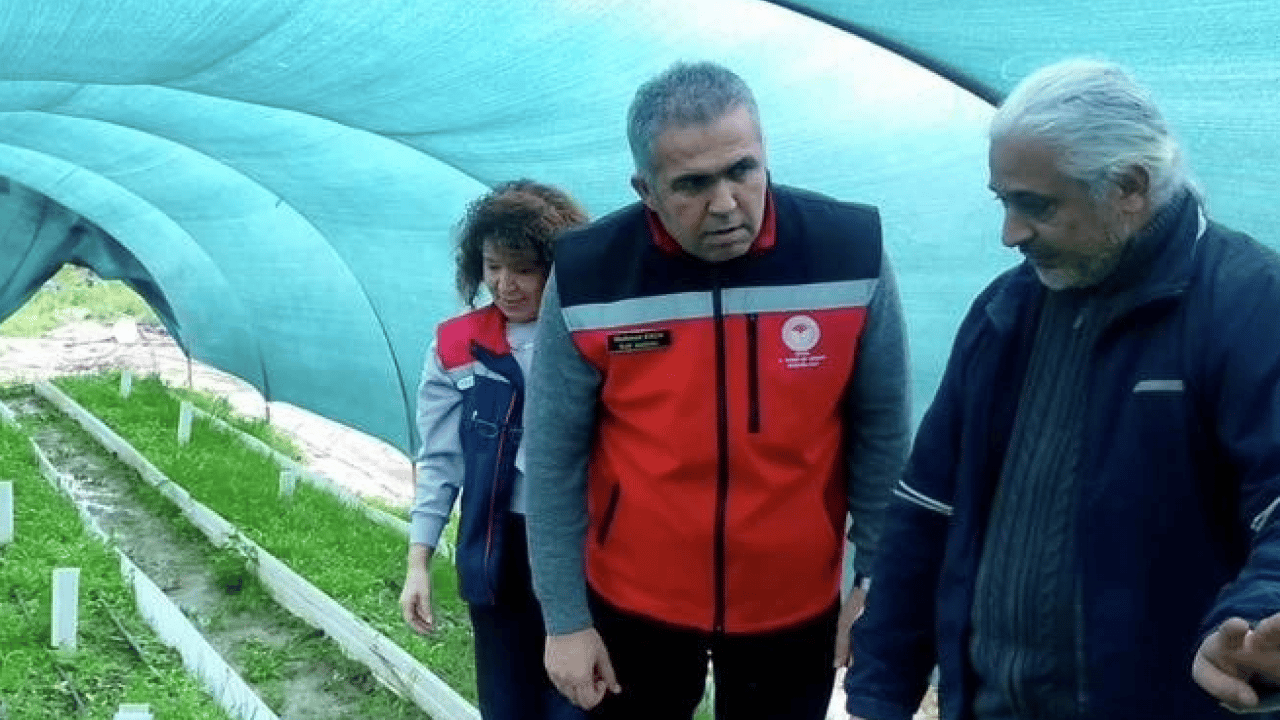 Foto - Aydın’da örnek girişim! İlçe üretim üssü haline geldi