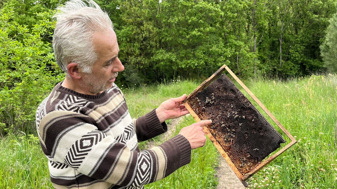 Foto - Ayıları bal peteğindeki izler ele verdi! 21 kovan parçalandı, 1,5 milyon arı telef oldu