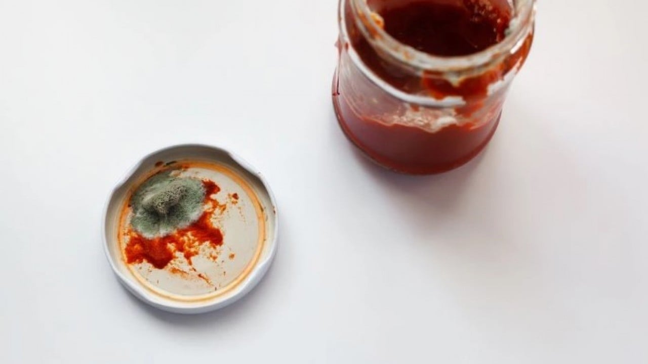 Foto - Aylarca taze kalacak! Salçanın küflenmesini önleyen doğal yöntem