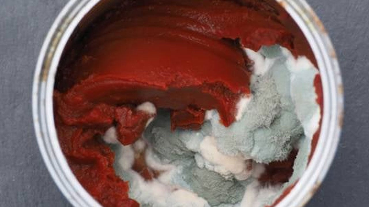 Aylarca taze kalacak! Salçanın küflenmesini önleyen doğal yöntem