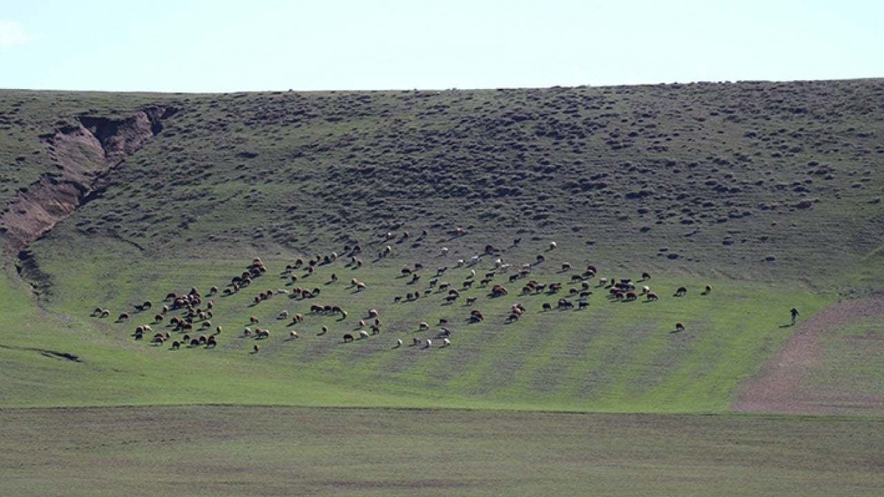 Foto - Aynı anda dağda kış ovada bahar