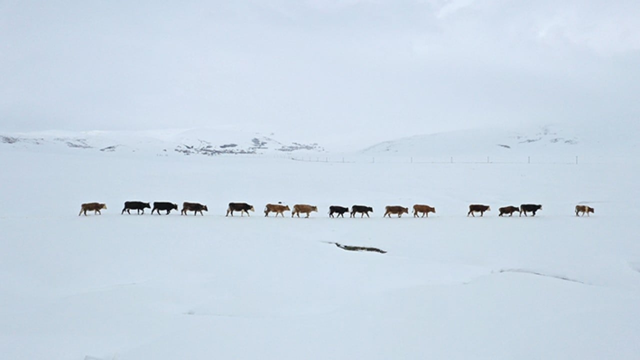 Aynı anda dağda kış ovada bahar