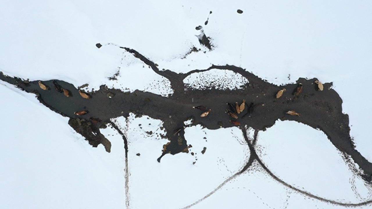 Foto - Aynı anda dağda kış ovada bahar