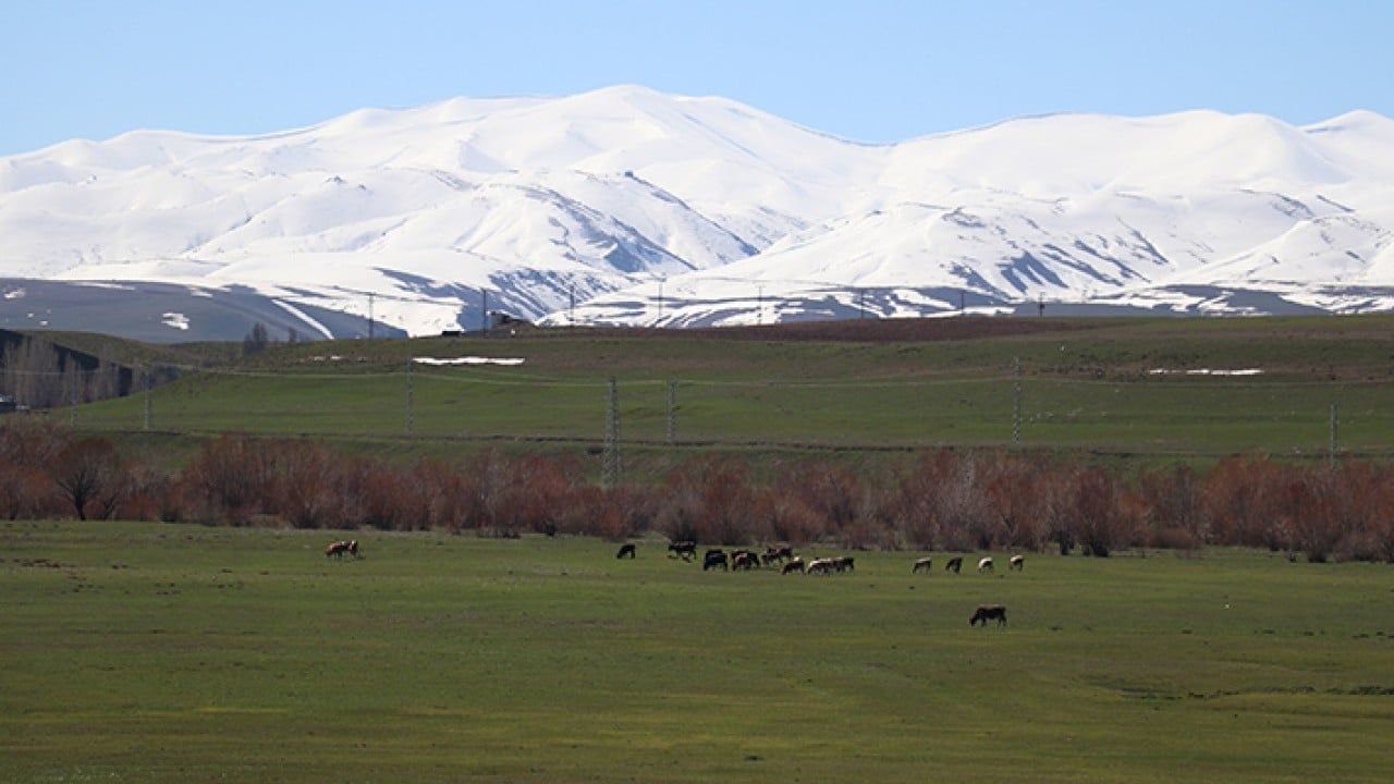 Foto - Aynı anda dağda kış ovada bahar