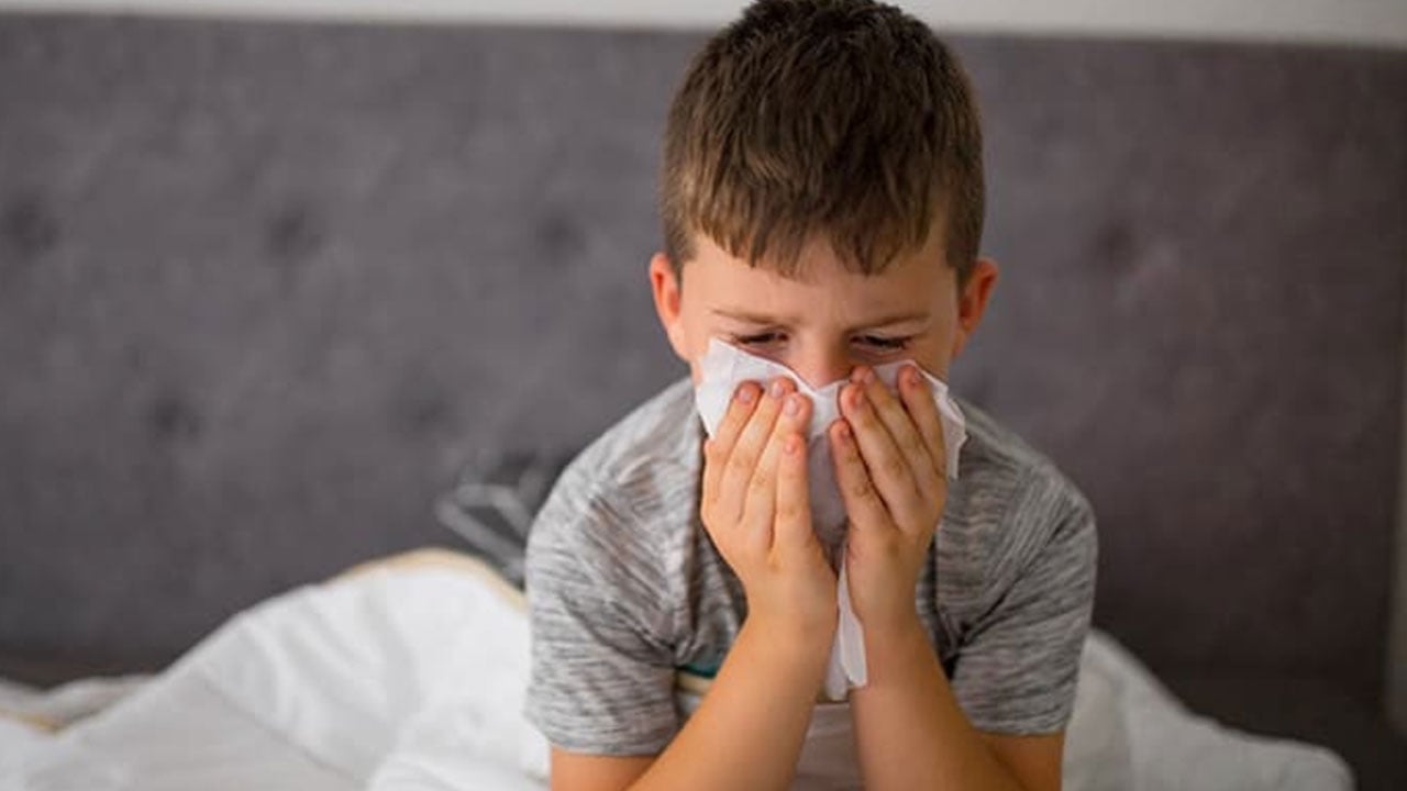 Foto - Aynı virüs herkesi neden farklı etkiliyor? Bilim insanları soğuk algınlığının sırrını çözdü