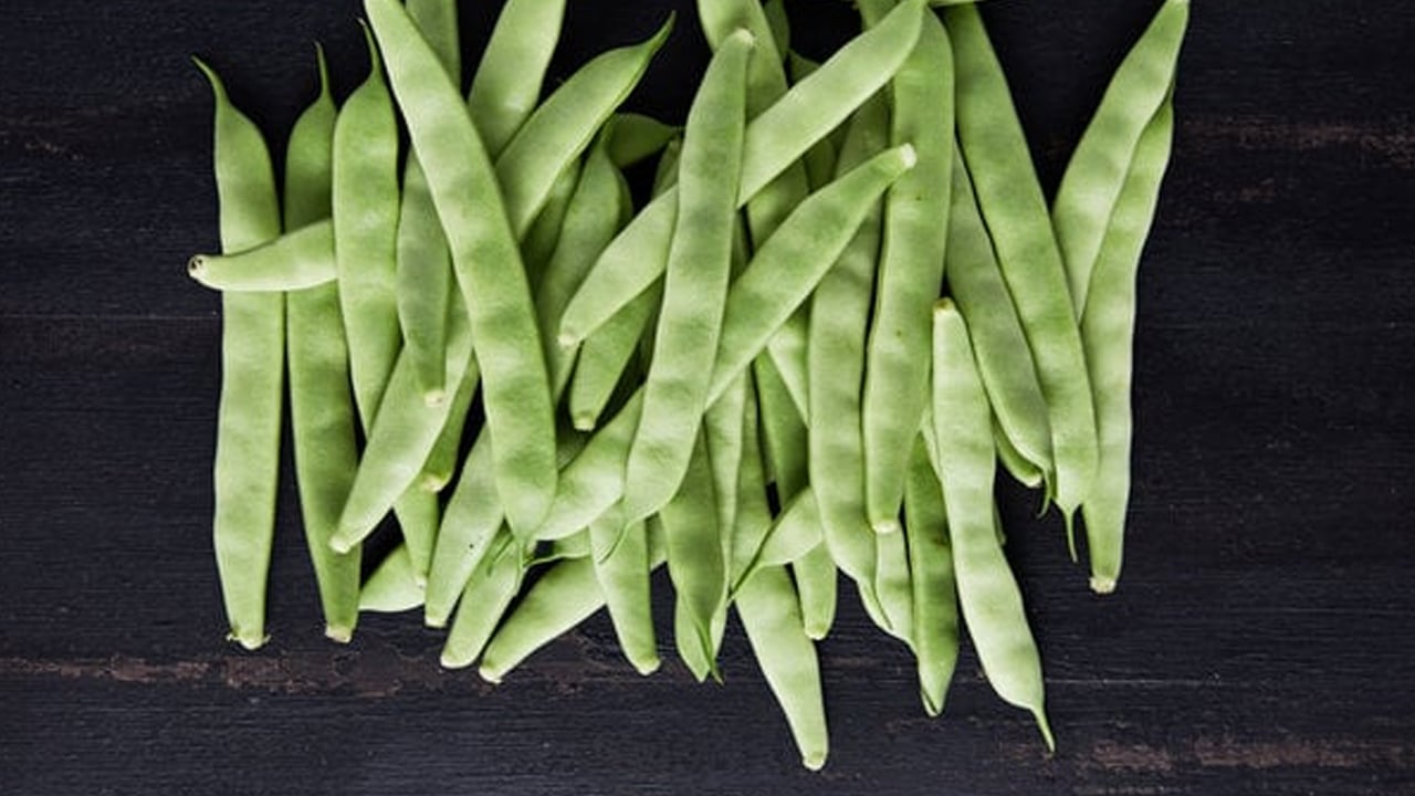Foto - Ayşekadın fasulye yemeği: Ayşekadın fasulyesi hakkında doğru bilinen yanlışlar, bilinmeyen gerçekler
