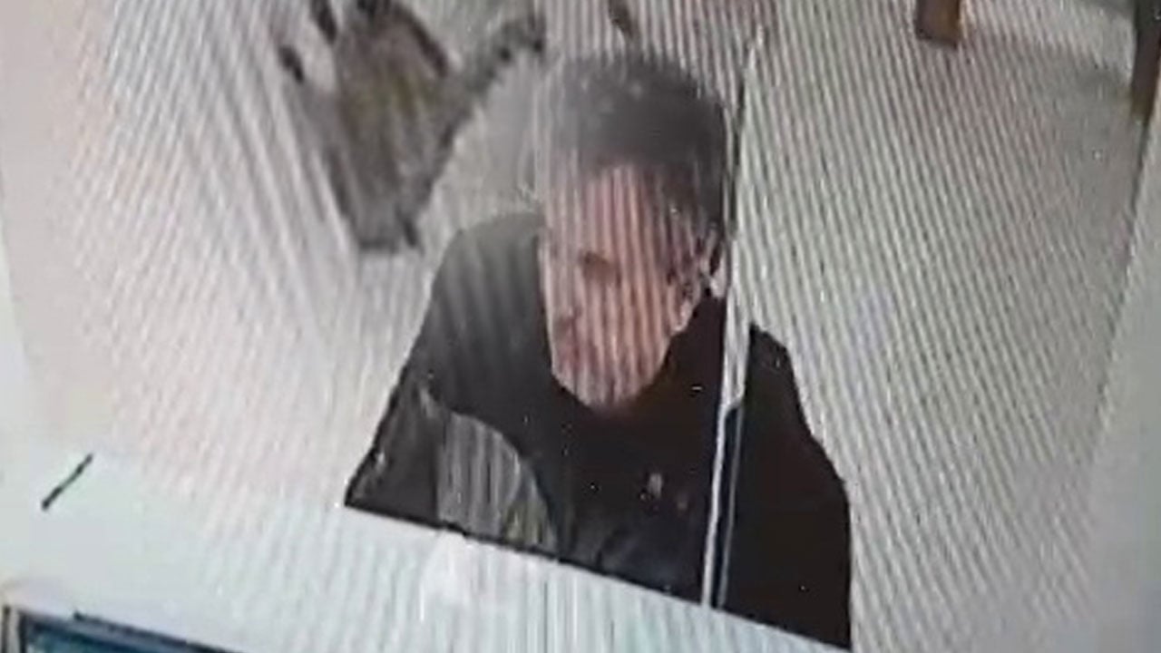 Foto - Az daha kalpten gidiyordu! Bankada işlem yaparken üzerine gökten kedi düştü
