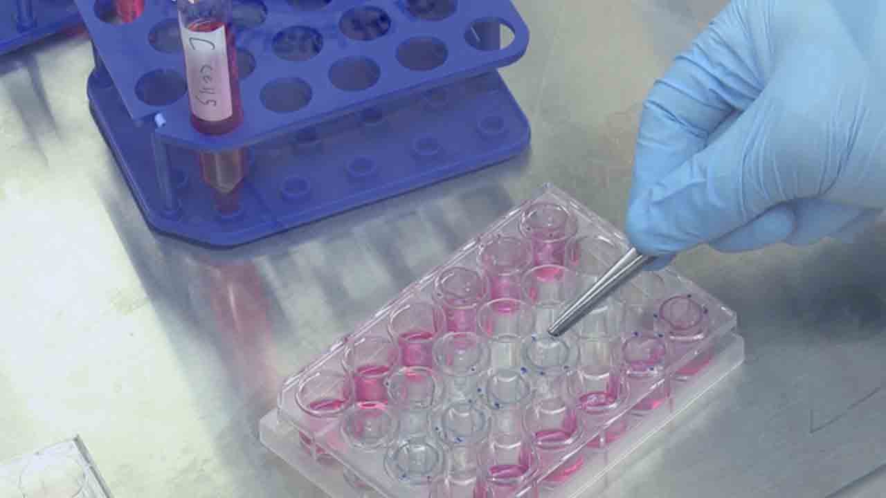 Foto - Aziz Sancar'dan dünyayı sallayacak deney: Kanseri yok etti