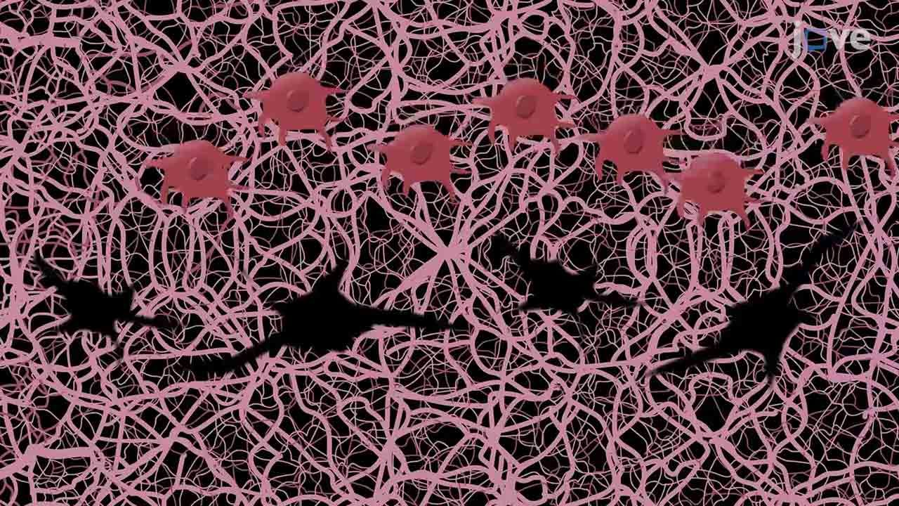 Foto - Aziz Sancar'dan dünyayı sallayacak deney: Kanseri yok etti