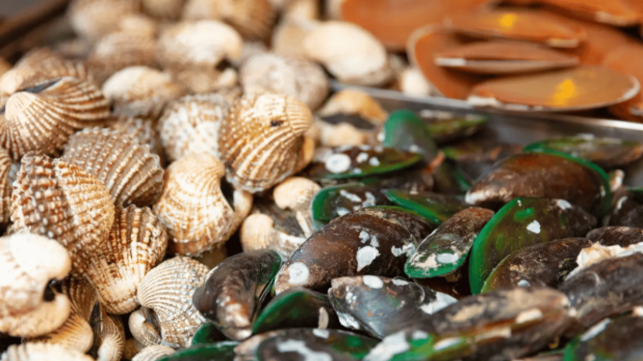 Foto - B12 eksikliğinden eser kalmıyor! İşte hafızayı çelik gibi yapan 6 besin!