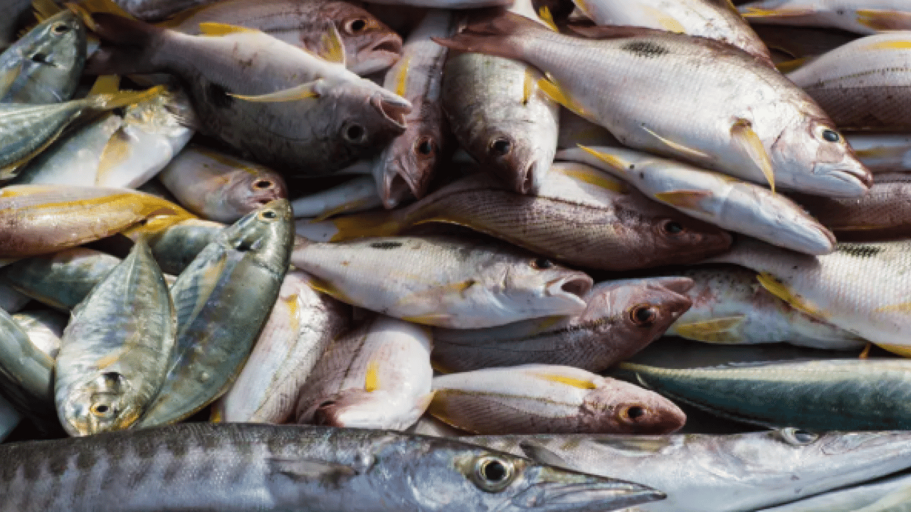Foto - B12 eksikliğinden eser kalmıyor! İşte hafızayı çelik gibi yapan 6 besin!