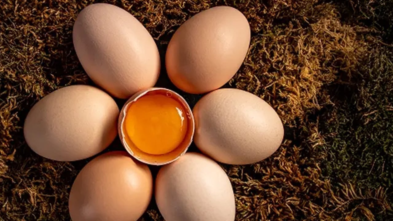 B2, B5, B12, A, D ve E vitaminleri içeren yumurta: Zihni koruyan en güçlü besin... Alzheimer riskini azalıyor