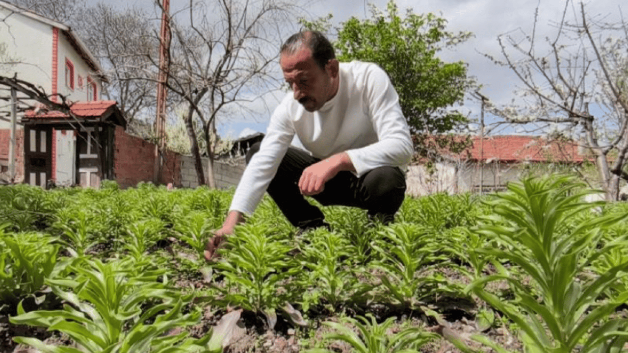 Foto - Babasından kalan mirasa gözü gibi bakıyor
