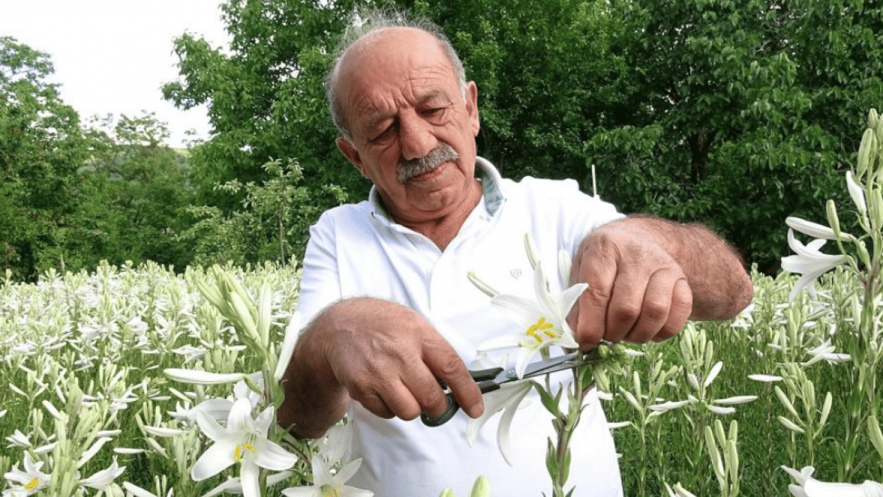 Foto - Babasından kalan mirasa gözü gibi bakıyor