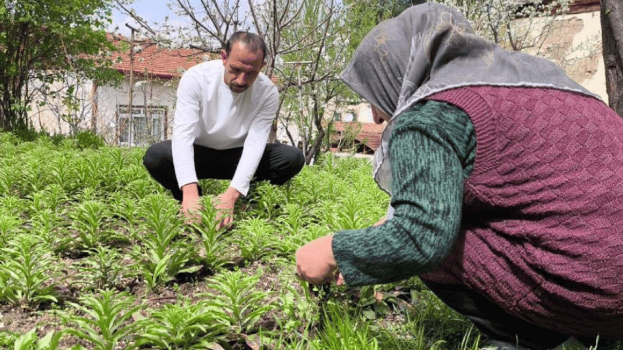 Babasından kalan mirasa gözü gibi bakıyor