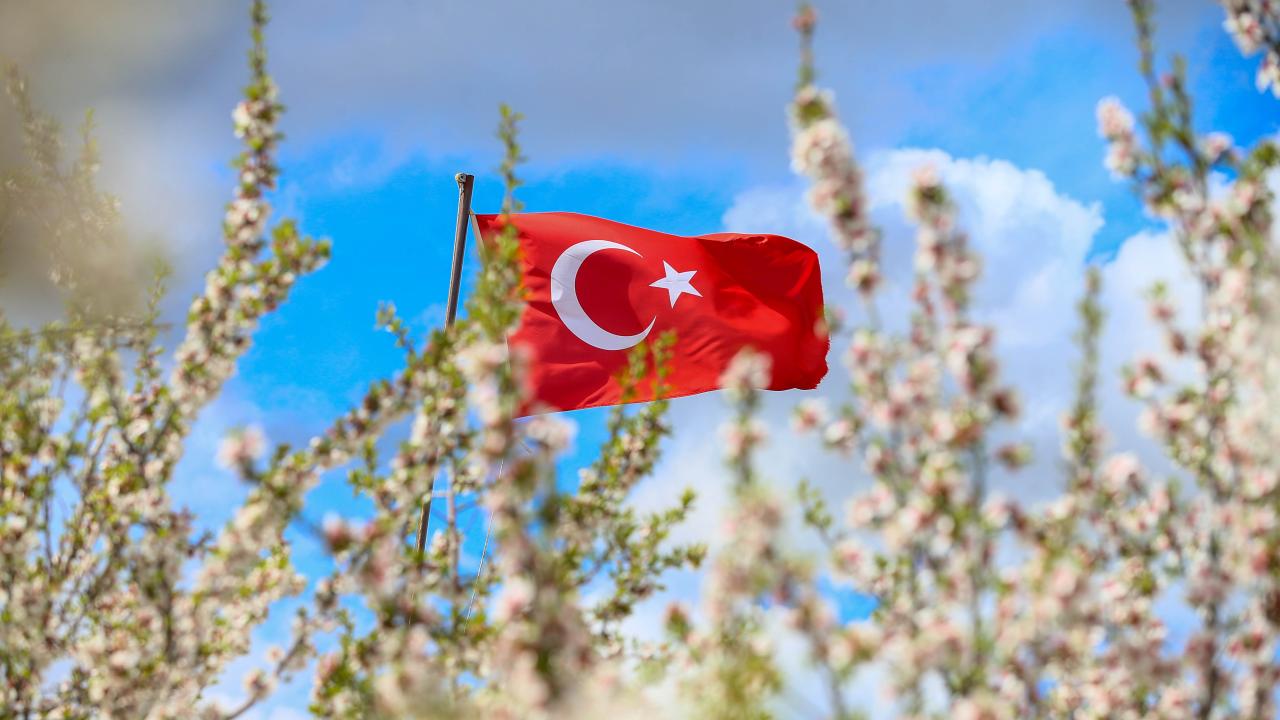 Foto - Badem ağaçları çiçek açtı! Bahçeler beyaza boyandı