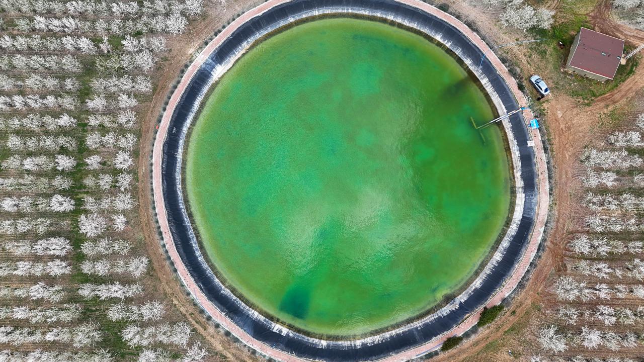 Foto - Badem ağaçları çiçek açtı! Bahçeler beyaza boyandı