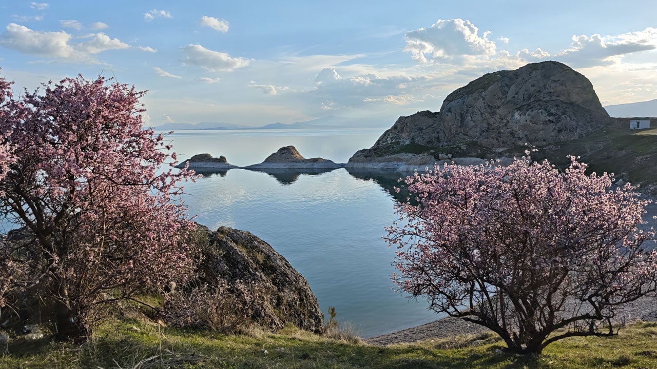 Foto - Badem ağaçları çiçek açtı! Van Gölü’nün mavisine bahar renkleri karıştı